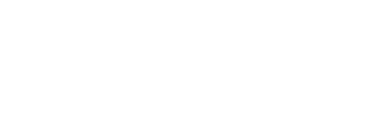 Stratafact management consulting
